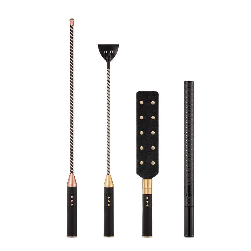 Adult sex toy electric shock rod TeemDrop