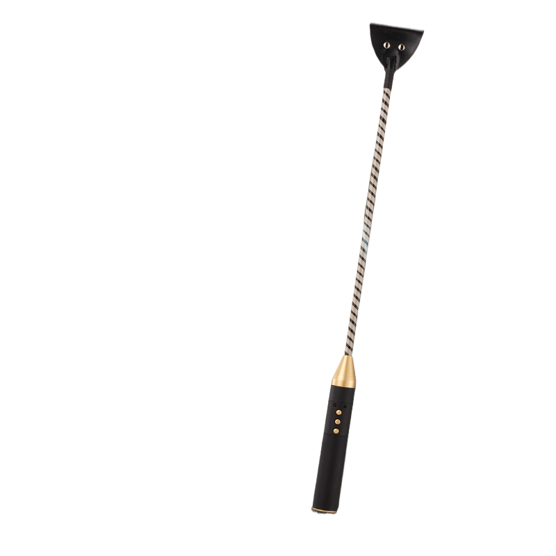 Adult sex toy electric shock rod TeemDrop