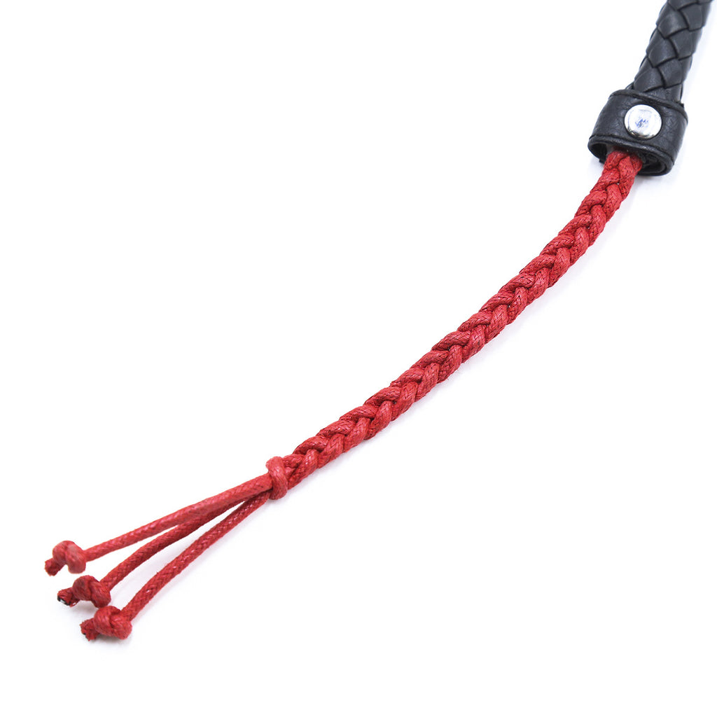 Sex Toy Whip Stage TeemDrop